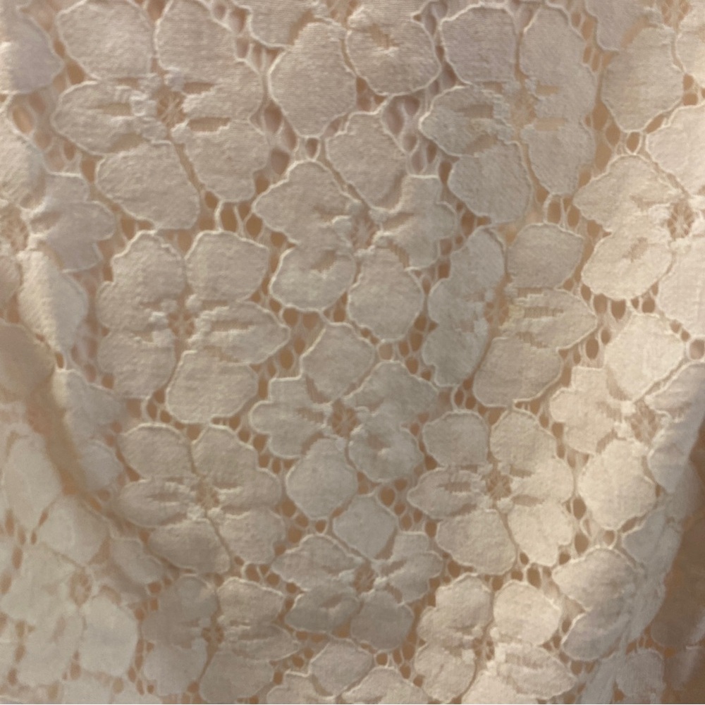 Adrianna Papell Lace Shift Dress in Cream | Size 12P - Picture 2 of 8